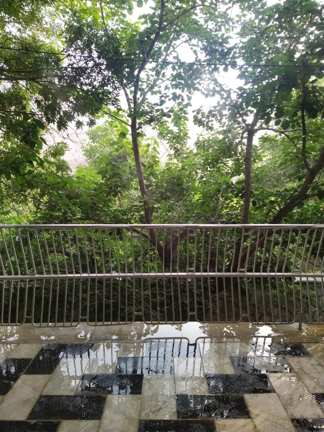 پرستارپرستار. کار در منزل|استخدام درمانی، زیبایی، بهداشتی|آمل, |دیوار