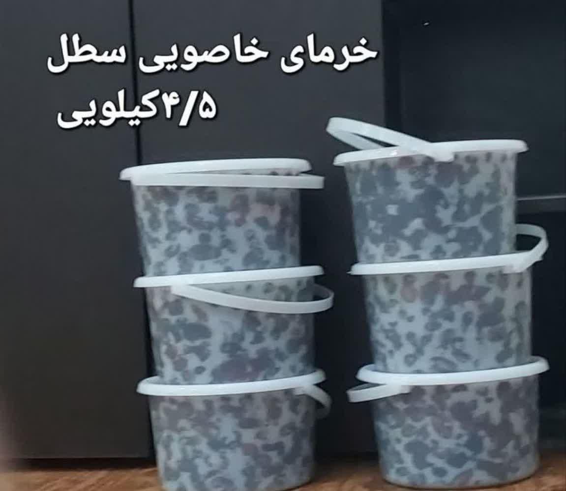 پخش عمده خرمای خاصویی و کبکاب اصیل بهبهان|خوردنی و آشامیدنی|اهواز, گلستان|دیوار