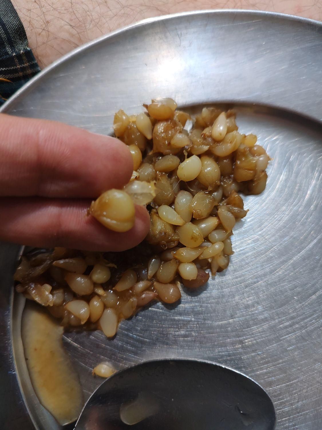 ترشی گل سیر دون شده|خوردنی و آشامیدنی|اصفهان, شاهزید|دیوار