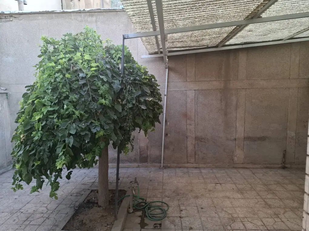 فروش منزل مسکونی قابل سکونت و باز سازی شده|فروش خانه و ویلا|اصفهان, پوریای ولی|دیوار