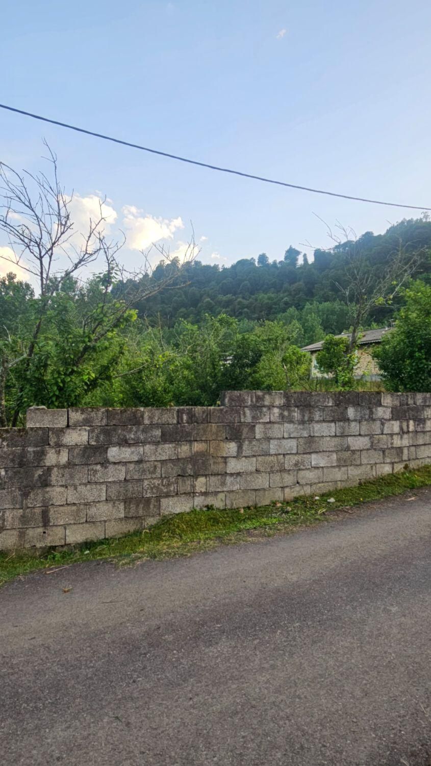زمین در تالش کوهپایه جنگلی مسکونی اسالم طولارود|فروش زمین و ملک کلنگی|تالش, طولارود|دیوار