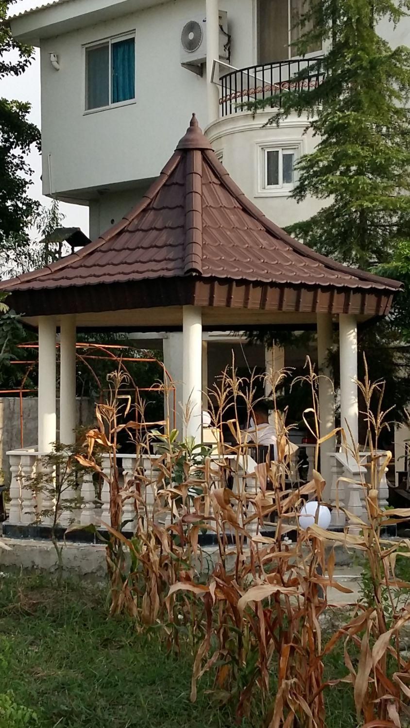 پوشش سقف سردروازه وآلاچیق|خدمات پیشه و مهارت|نوشهر, |دیوار