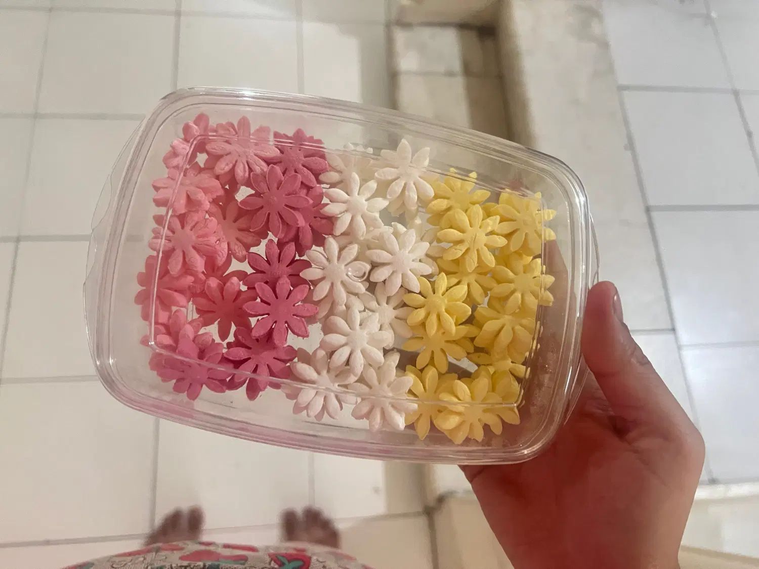 قند فانتزی|خوردنی و آشامیدنی|تهران, مرزداران|دیوار