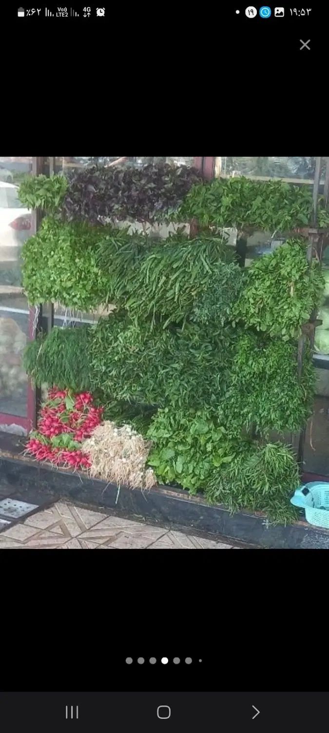 سبزی نیشابوروسبزیجات وصیفی جات بسته بندی نیشابور|خوردنی و آشامیدنی|مشهد, همت آباد|دیوار