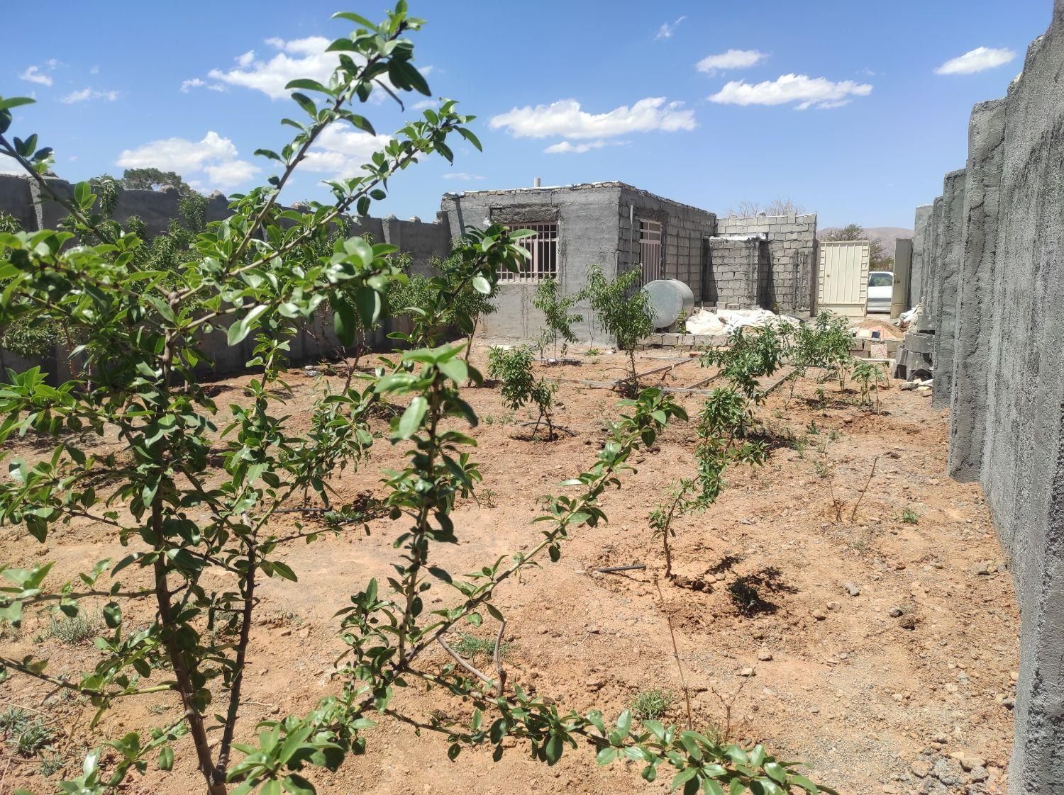 نقلی مزرعه جلال آباد بدون آب معاوضه ماشین و زمین|فروش زمین و ملک کلنگی|نجف‌آباد, جلال آباد|دیوار