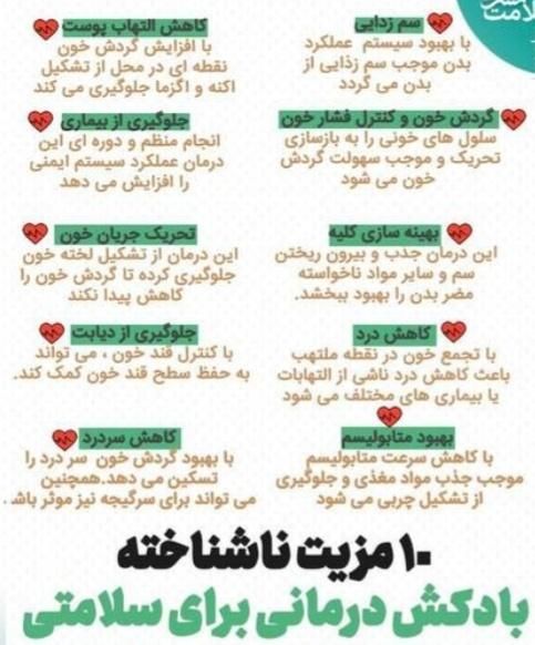 حجامت وبادکش تخصصی و زالودرمانی بادکش رشدقدی|خدمات آرایشگری و زیبایی|تهران, آهنگ|دیوار
