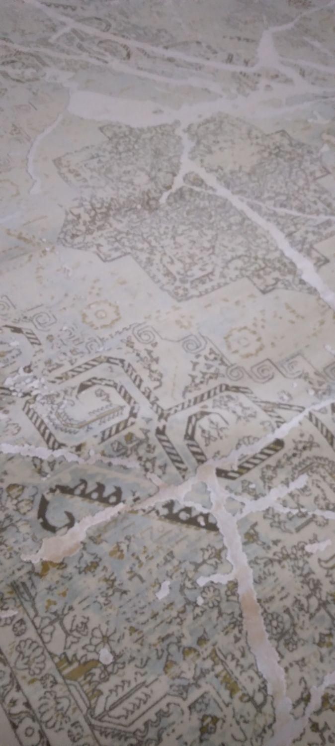 فرش ۹ متری ماشینی|فرش|گرگان, |دیوار