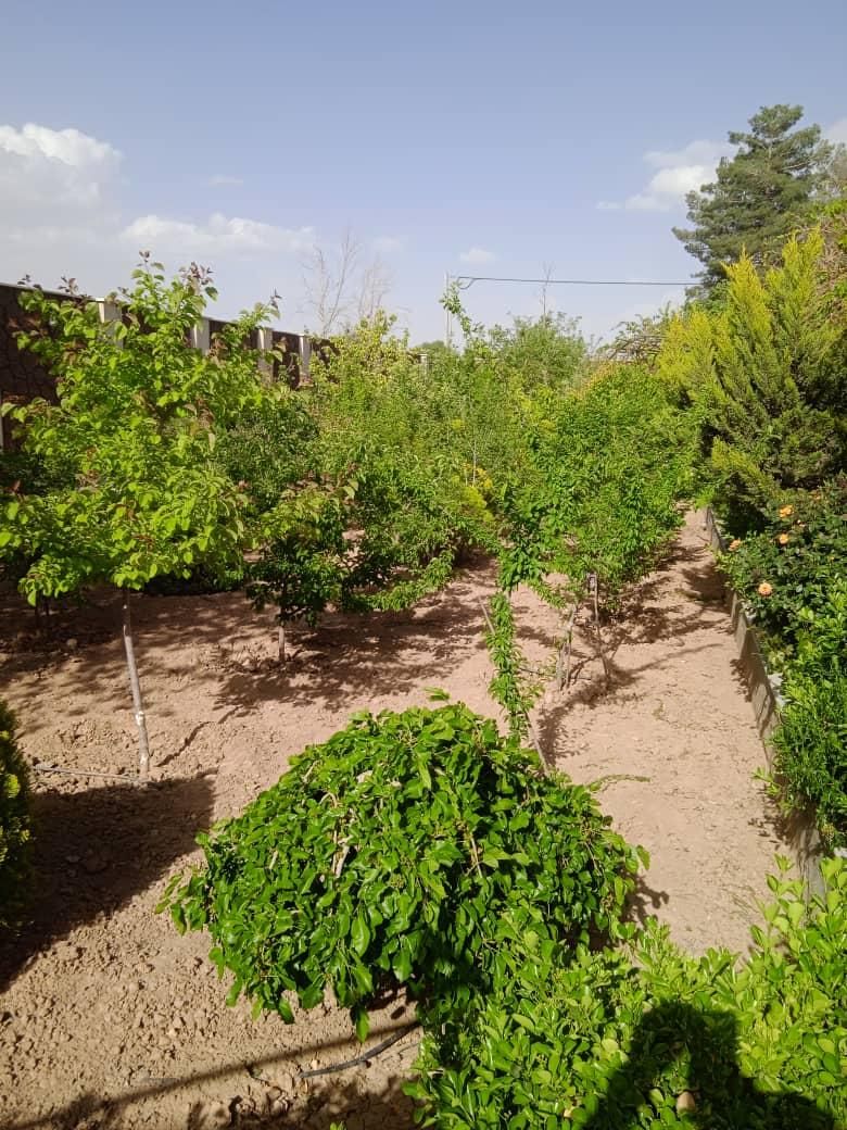 فروش زمین ۲۱۰۰ متری در دانشگاه اصفهان|فروش زمین و ملک کلنگی|اصفهان, دانشگاه اصفهان|دیوار