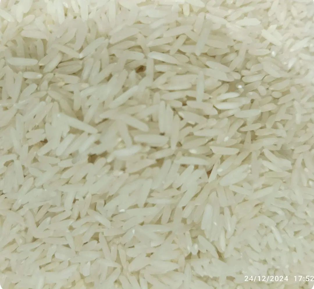 برنج پاکستانی|خوردنی و آشامیدنی|رشت, سلیمانداراب|دیوار