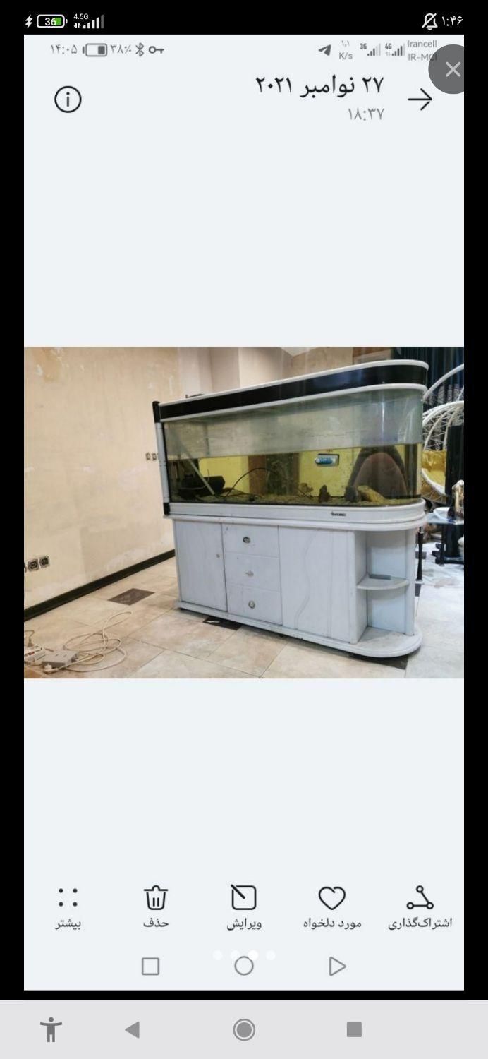 آکواریوم خم طرح u به همراه میز|ماهی|اصفهان, کوی امیریه|دیوار