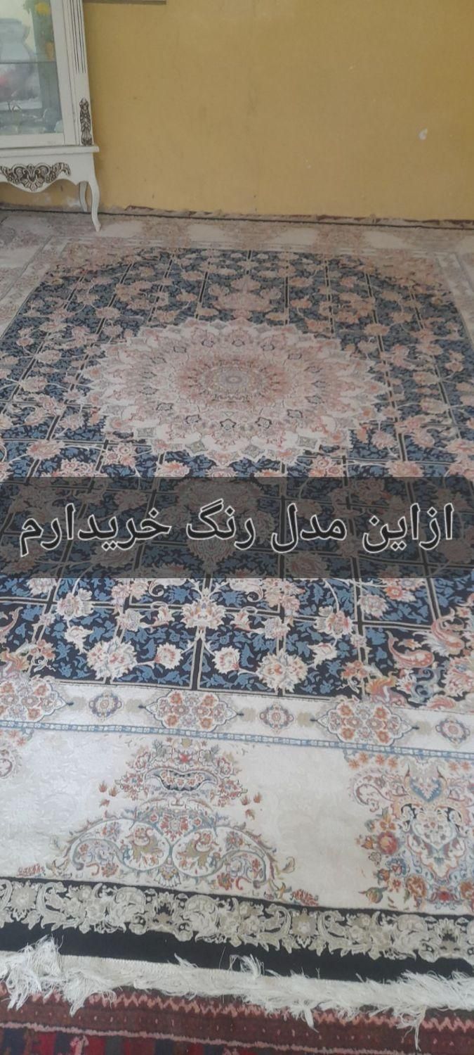 فرش 12متری خریدارم|فرش|زاهدان, |دیوار