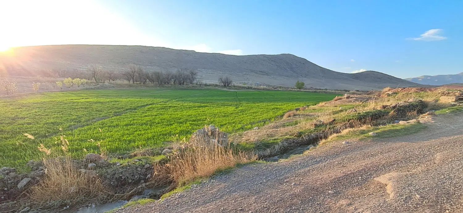 زمین زراعی با خاک حاصلخیز در روستای قره تپه|فروش زمین و ملک کلنگی|ماکو, |دیوار