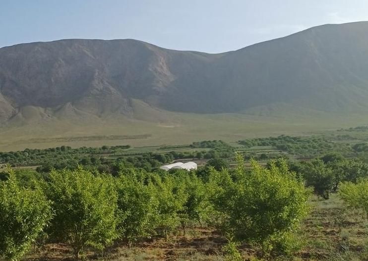 زمین باغی جهت گلخانه|فروش دفتر صنعتی، کشاورزی، تجاری|اصفهان, تیران|دیوار