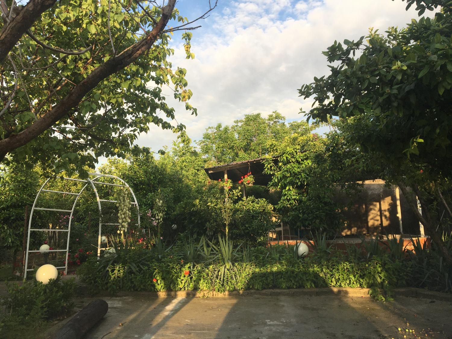 اجاره‌ی سوییت دربست نزدیک جنگل کبودوال|اجارهٔ کوتاه‌مدت آپارتمان و سوئیت|علی‌آباد کتول, |دیوار