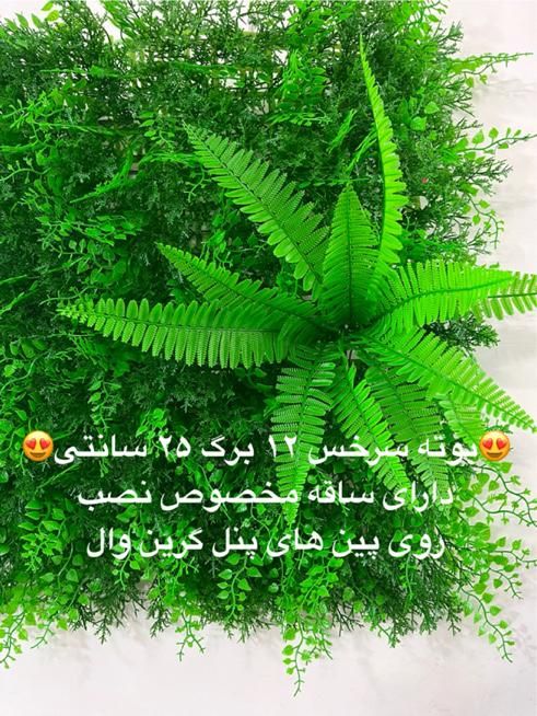 بوته تزئینی سرخس گرینوال|گل مصنوعی|تهران, نصرت|دیوار