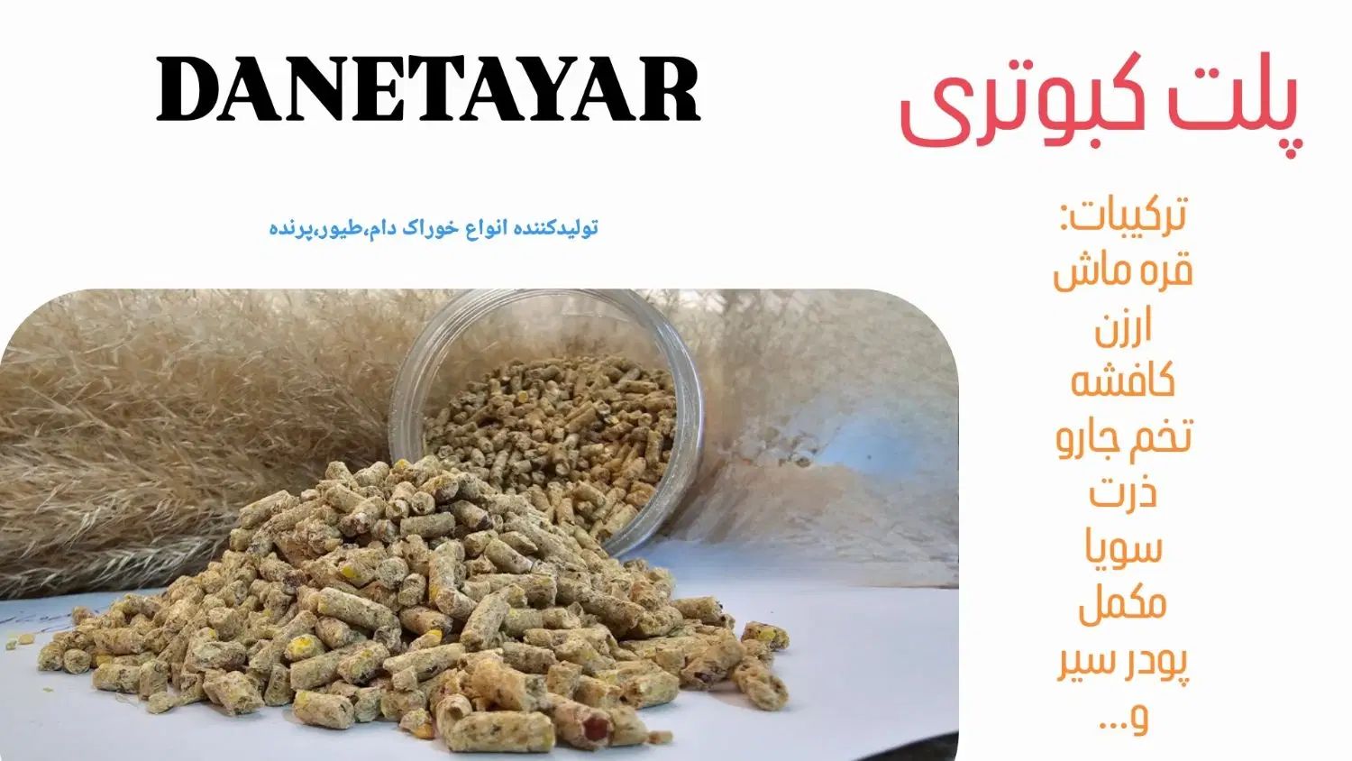پلت کبوتری|لوازم جانبی حیوانات|تهران, آسمان|دیوار