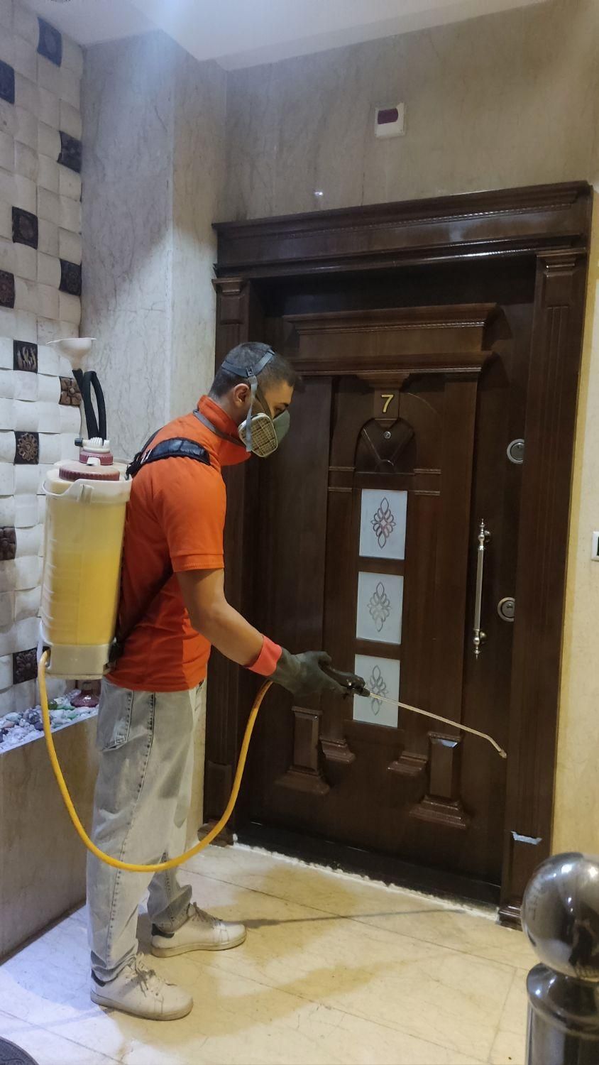 سمپاشی تخصصی سوسک و ساس با ضمانت کتبی|خدمات نظافت|کرج, برغان|دیوار