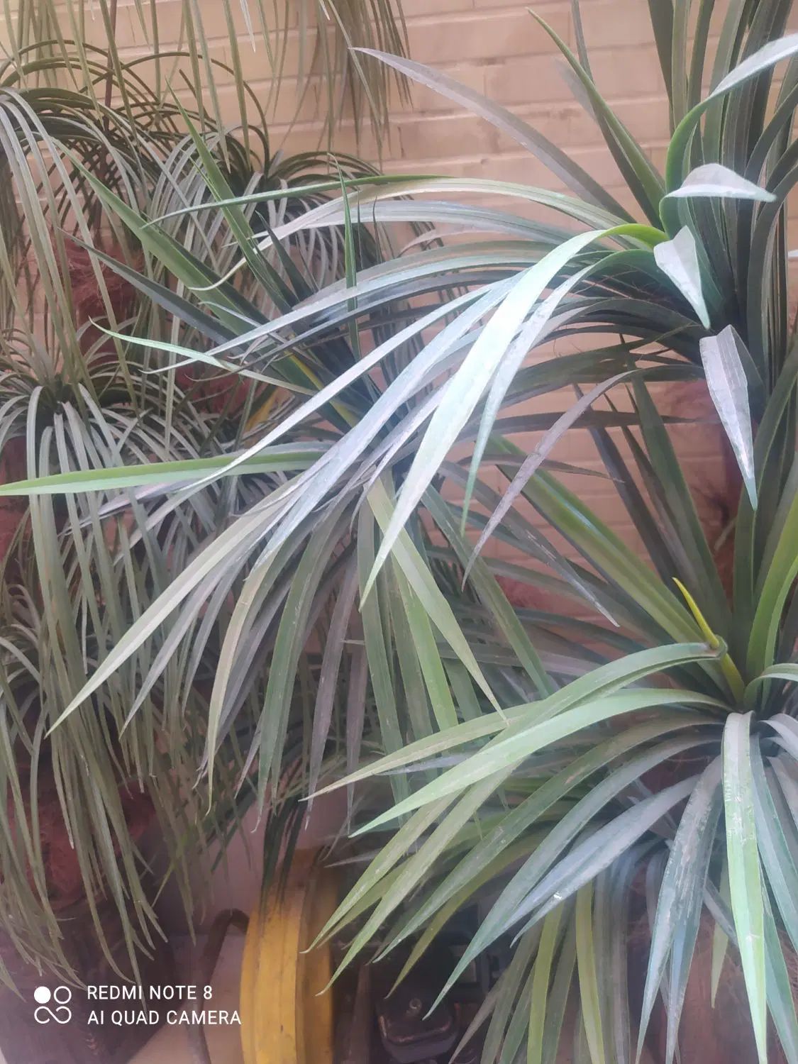 حراج|حراج|اصفهان, عباس‌آباد|دیوار