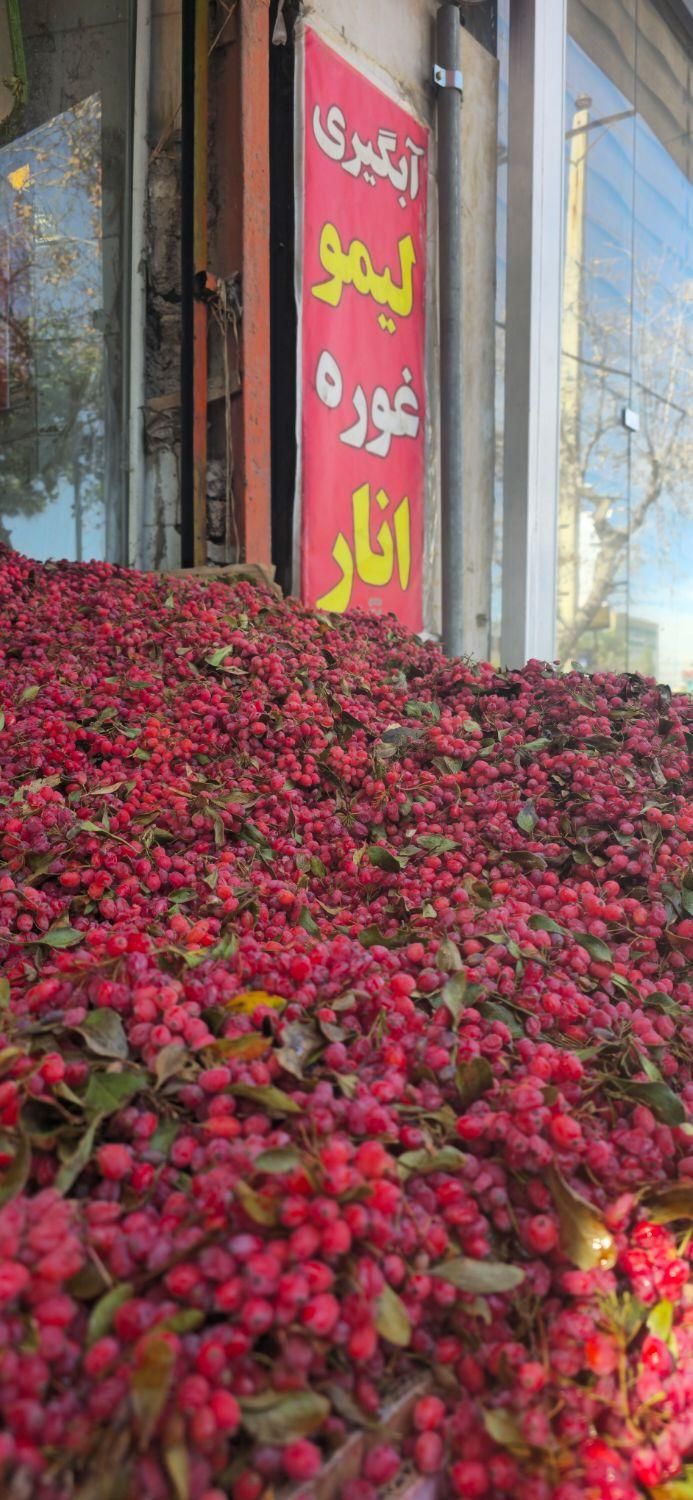 آب زرشک خالص|خوردنی و آشامیدنی|شیراز, وحدت|دیوار
