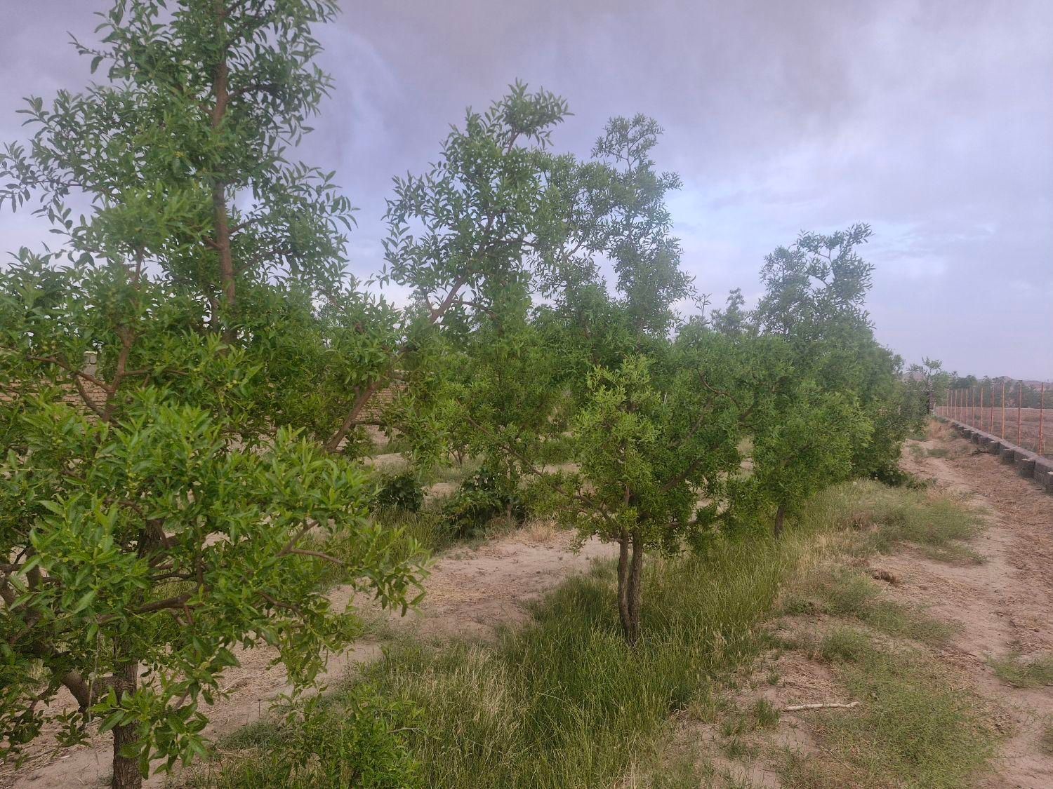 تصویر 3