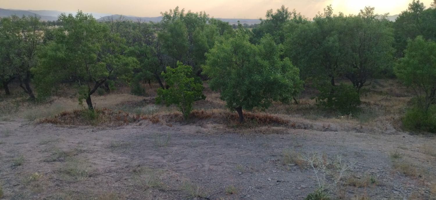 زمین در نوبران خوش آب و هوا|فروش زمین و ملک کلنگی|تهران, آبشار|دیوار