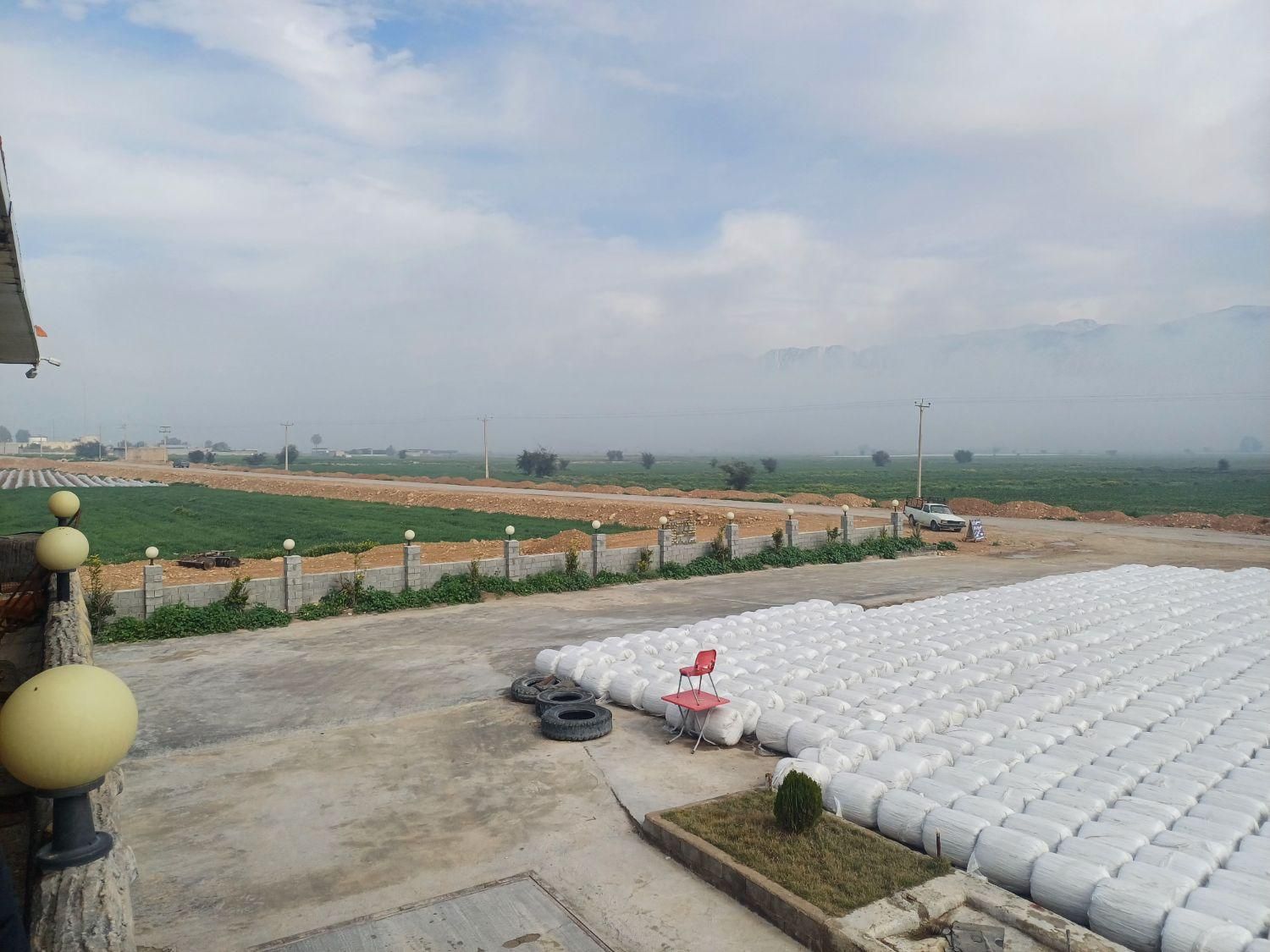 چاپر بسته بندی|حیوانات مزرعه|زیباشهر, |دیوار