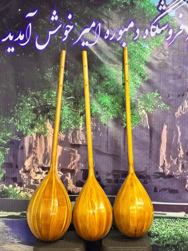 دمبوره یادگیری|سازهای سنتی|باقرشهر, |دیوار