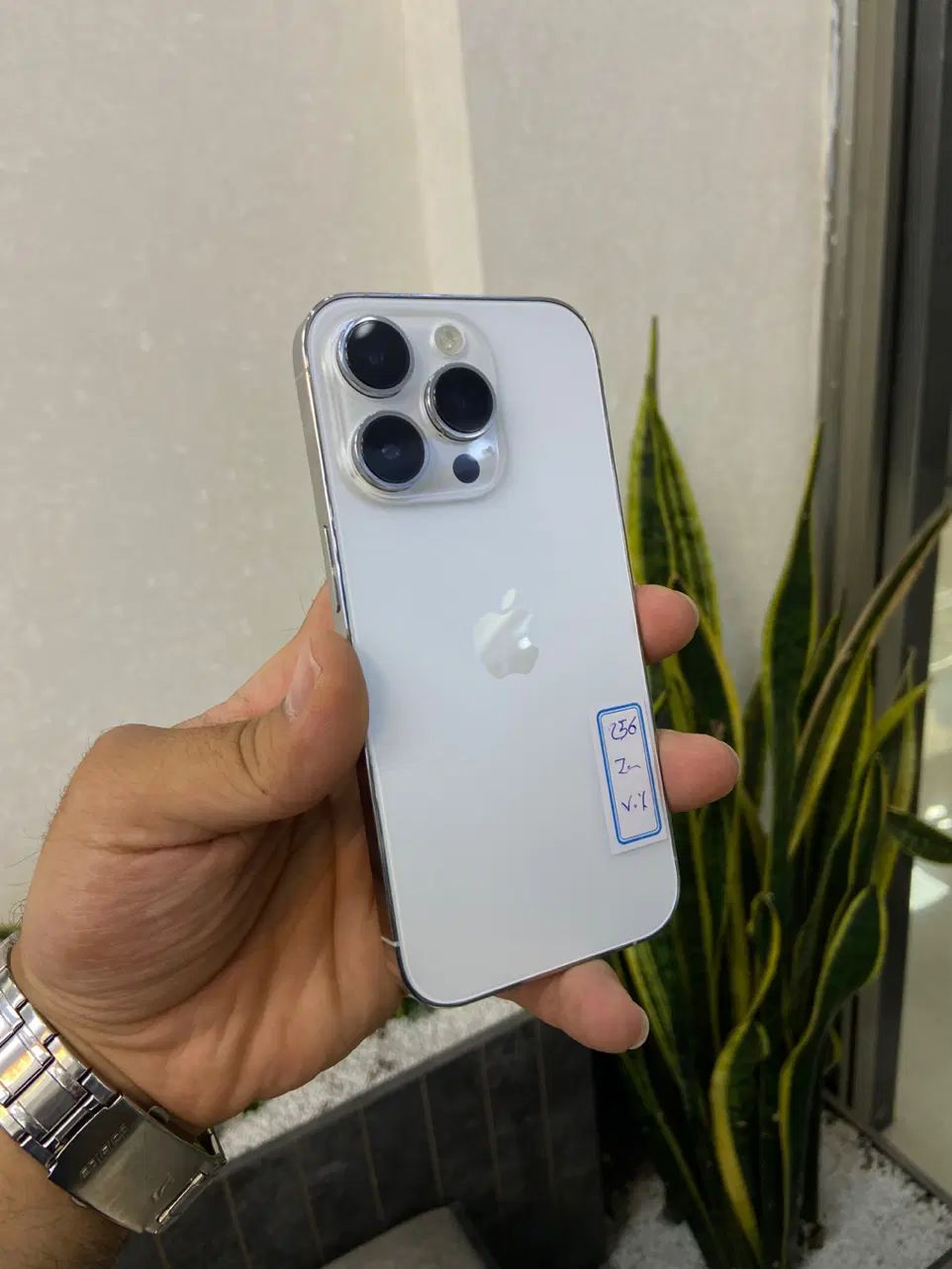 جشنواره فروش محصولات ایفونiPhone ۱۴ پرواقساط محدود|موبایل|اصفهان, احمدآباد|دیوار