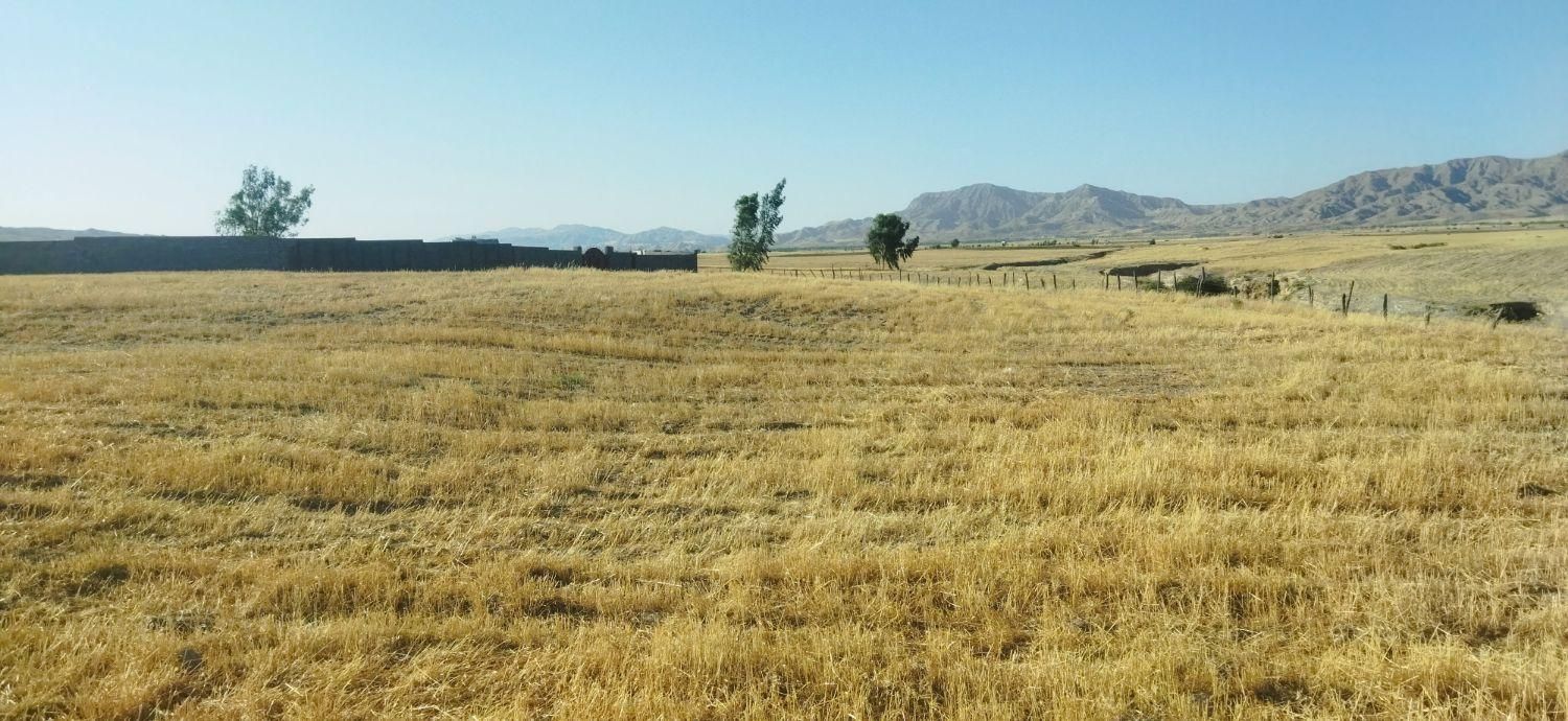 فروش زمین کشاورزی وباغی|فروش دفتر صنعتی، کشاورزی، تجاری|ایلام, |دیوار