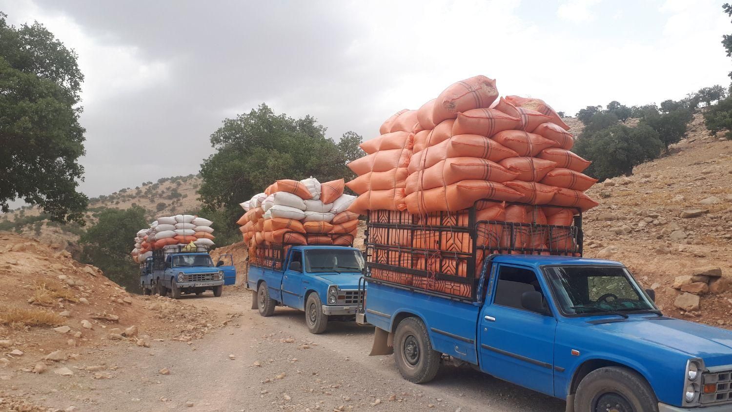 حمل وجابجایی باربانیسان درون شهری وبیرون شهری|خدمات حمل و نقل|اندیمشک, |دیوار