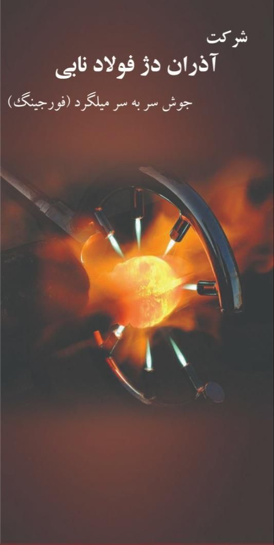 شرکت فولاد نابی(فورجینگ)|خدمات پیشه و مهارت|تبریز, |دیوار