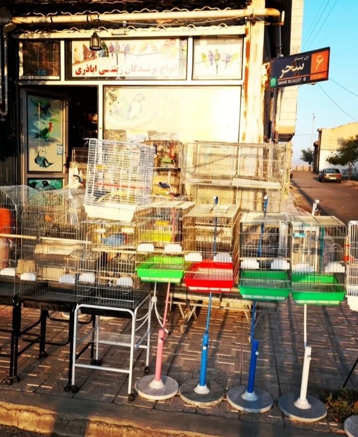 قفس های نو ودست دوم موجوده|لوازم جانبی حیوانات|خوی, |دیوار