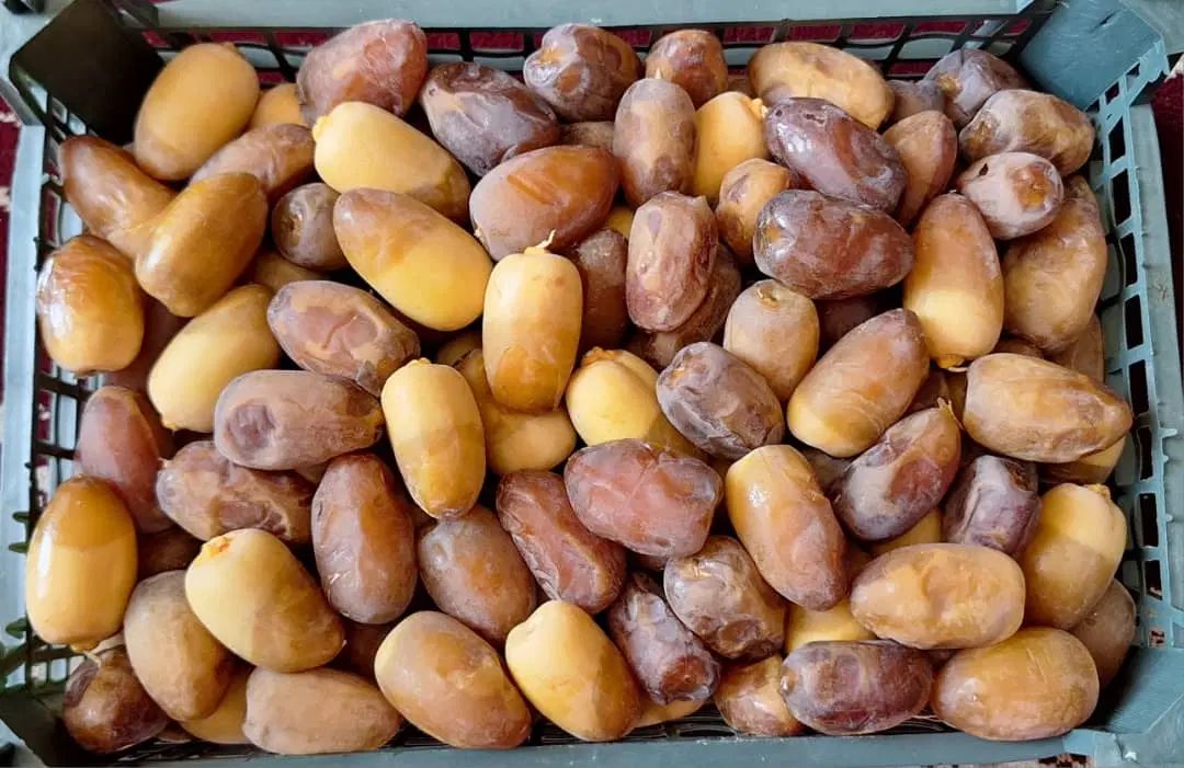رطب کبکاب عسلی|خوردنی و آشامیدنی|کرج, بنیاد|دیوار