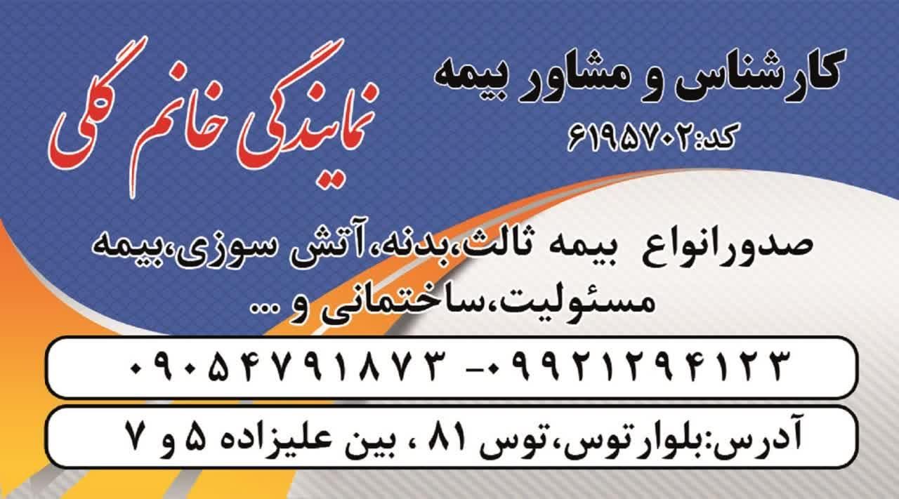 بیمه شخص ثالث،بیمه بدنه|خدمات مالی، حسابداری، بیمه|مشهد, مشهدقلی|دیوار