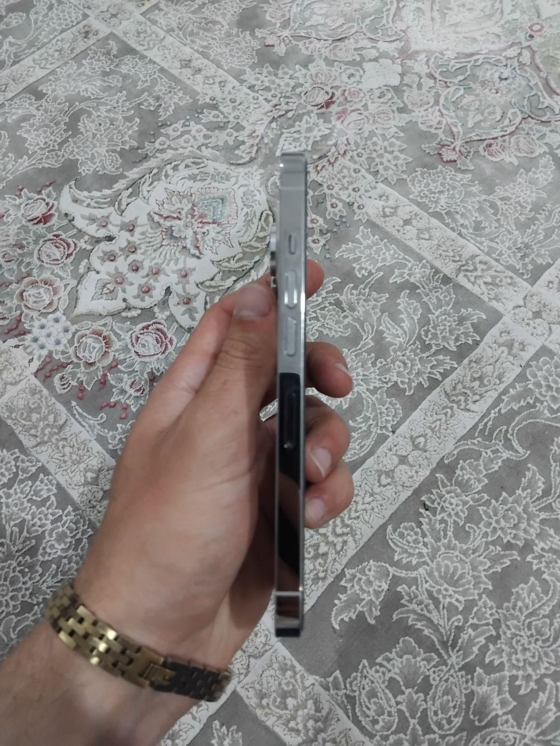اپل iPhone 13 Pro با حافظهٔ ۲۵۶ گیگابایت|موبایل|رشت, دیانتی|دیوار