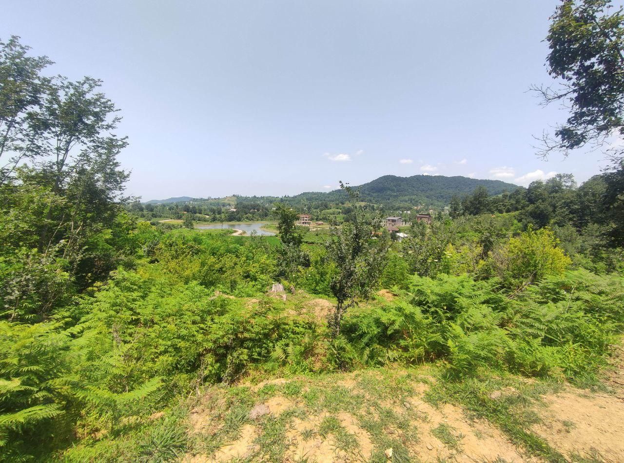 فروش فوری زمین ۷۴۵متری داخل طرح هادی، روستای چماچا|فروش زمین و ملک کلنگی|شفت, |دیوار