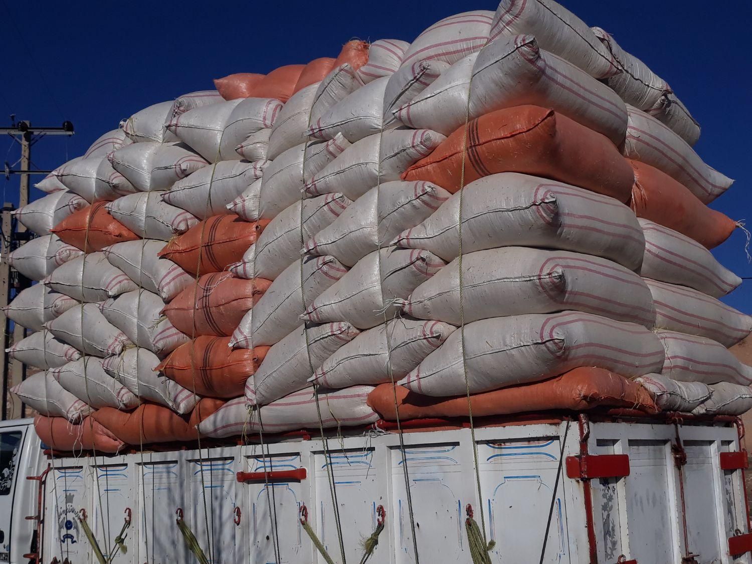 فروش کاه گندم دیم کیسه شده بدون واسطه ودلال تحویلی|لوازم جانبی حیوانات|داران, |دیوار