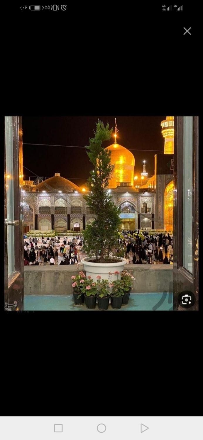 جیرفت                       مشهد|تور و چارتر|جیرفت, |دیوار