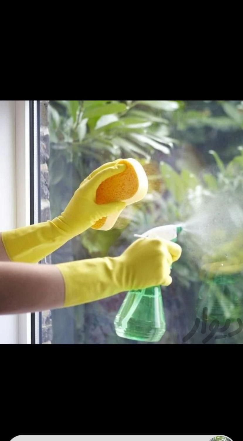 پاکسازان تهران نیروی نظافت کاربلد حرفه ای کل تهران|خدمات نظافت|تهران, میدان ولیعصر|دیوار