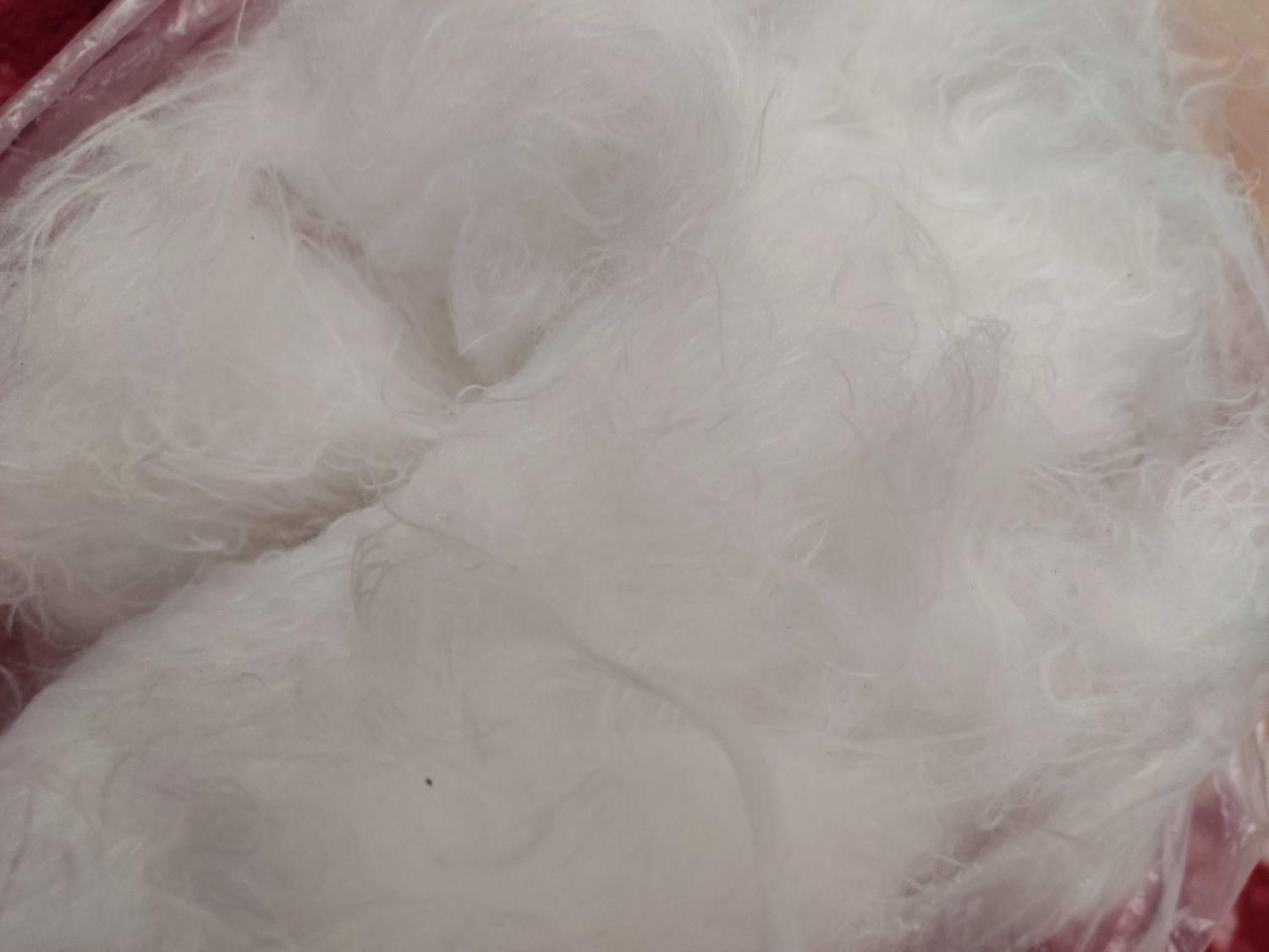 الیاف سفید مخصوص تشک و بالش وکوسن وعروسک|رختخواب، بالش، پتو|خمینی‌شهر, |دیوار