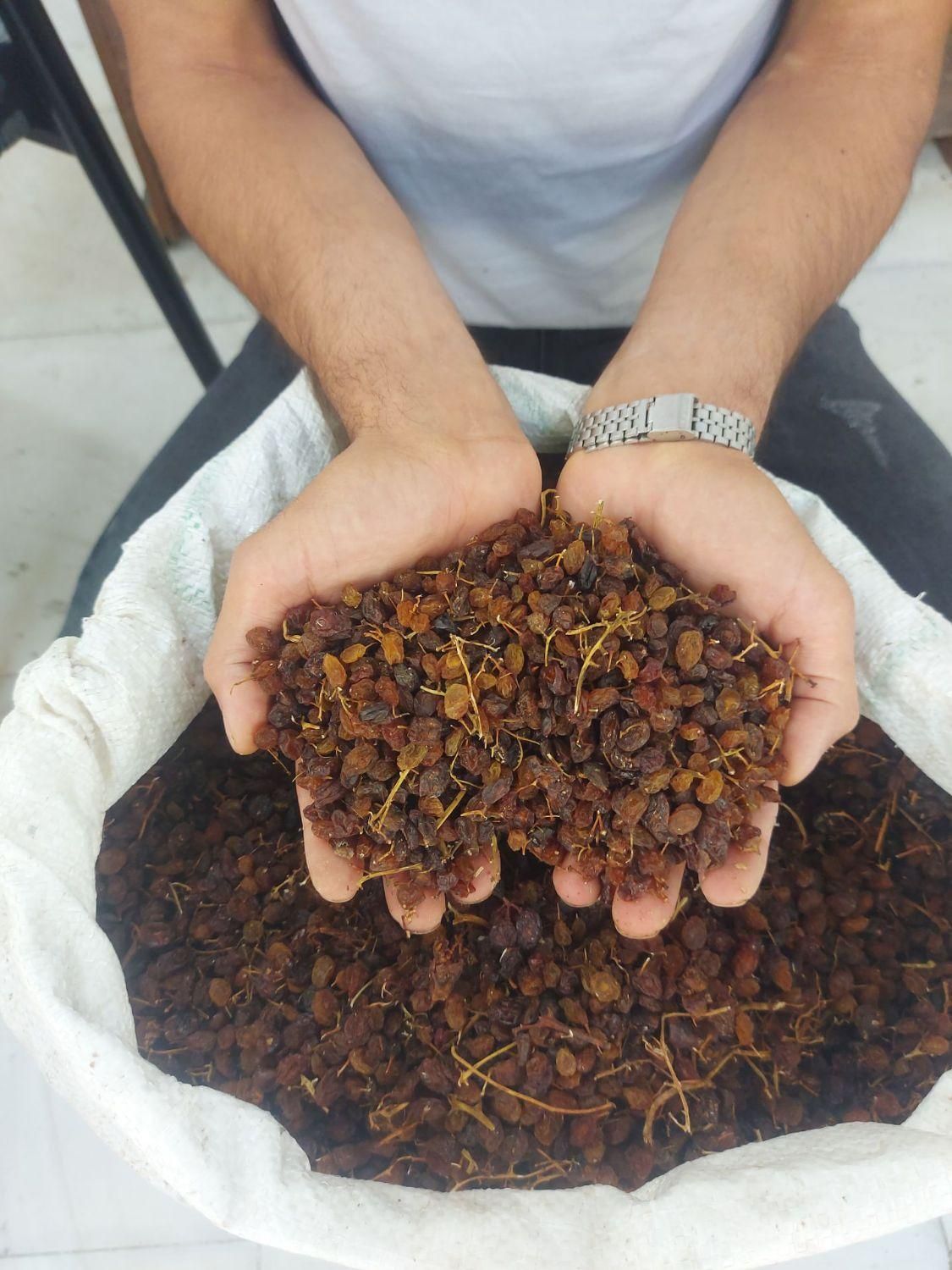 انواع کشمش گله آفتابی درگز و کاشمر|خوردنی و آشامیدنی|مشهد, نوید|دیوار