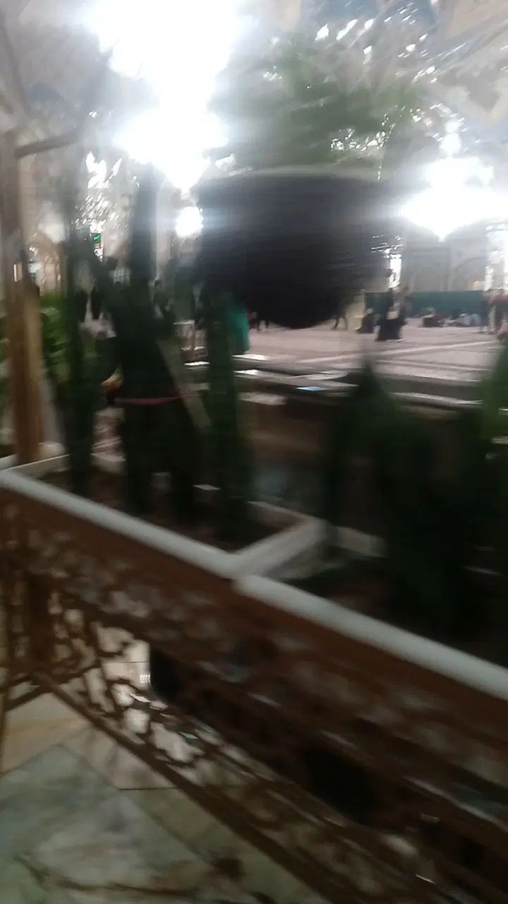 باغبانی و درختکاری، هرس کردن تیلر زدن کودوگل|خدمات باغبانی و درختکاری|مشهد, احمدآباد|دیوار