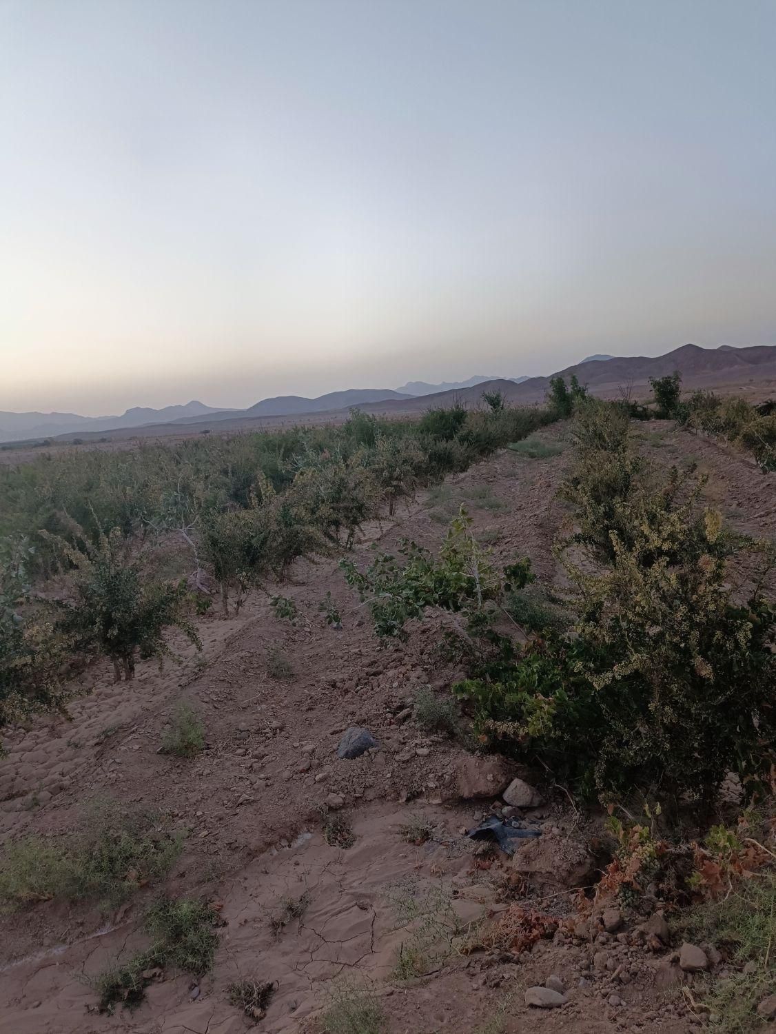 تصویر 4