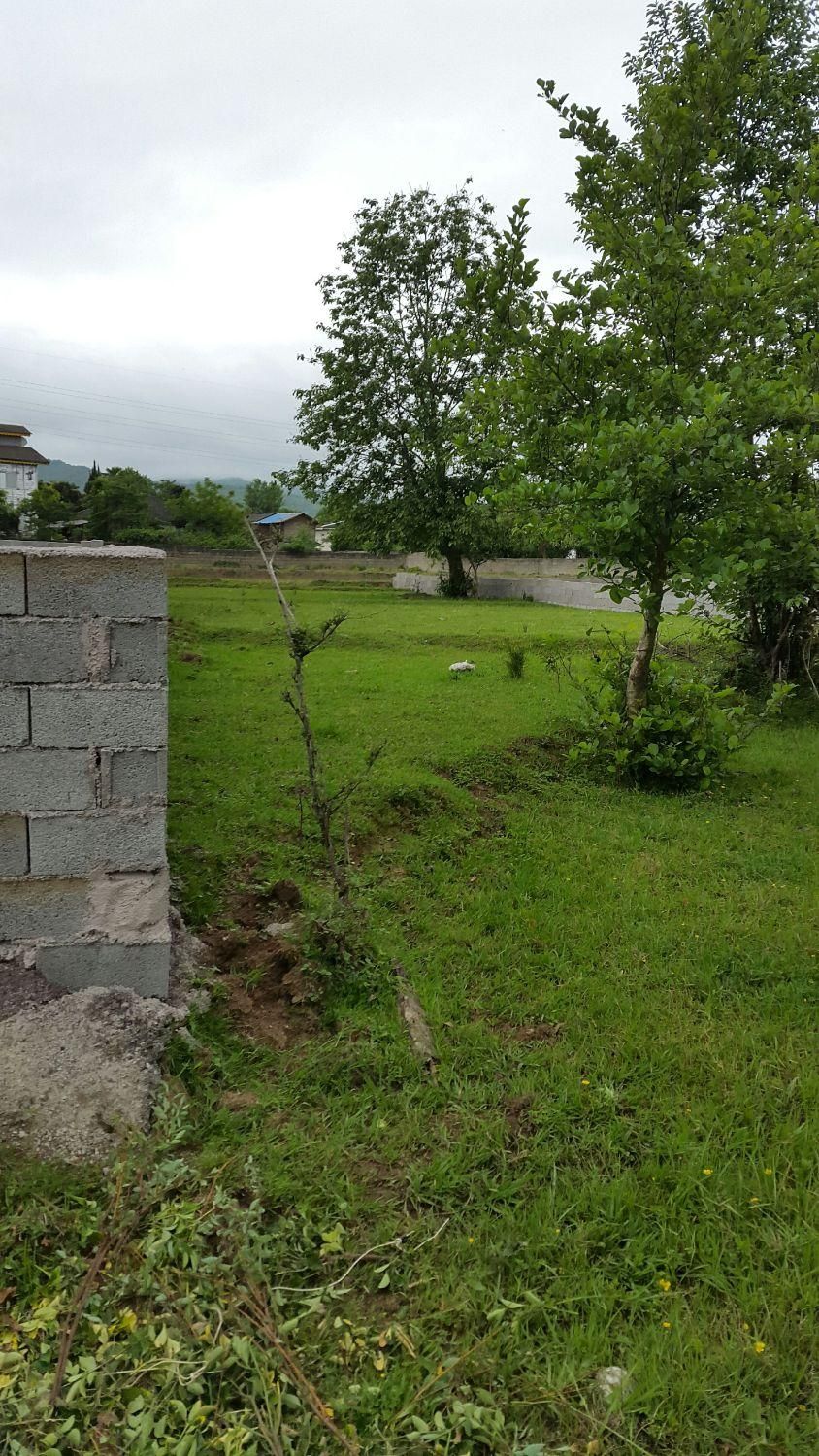 ۳۰۰مترزمین کوهپایه با مجوز ساخت ،پونل|فروش زمین و ملک کلنگی|رضوانشهر, |دیوار