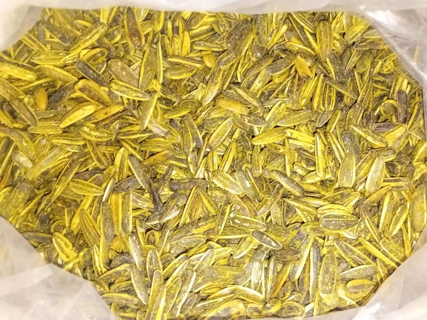 تخمه گلپری|خوردنی و آشامیدنی|کرج, حصارک بالا|دیوار