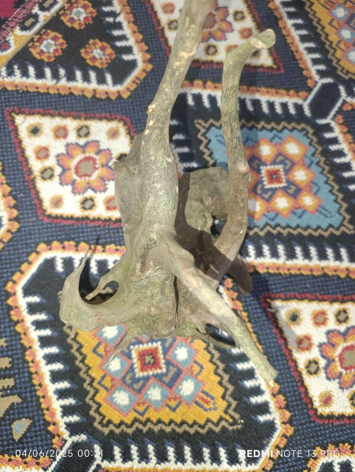 چوب آبنوس|ماهی|مسجد سلیمان, |دیوار