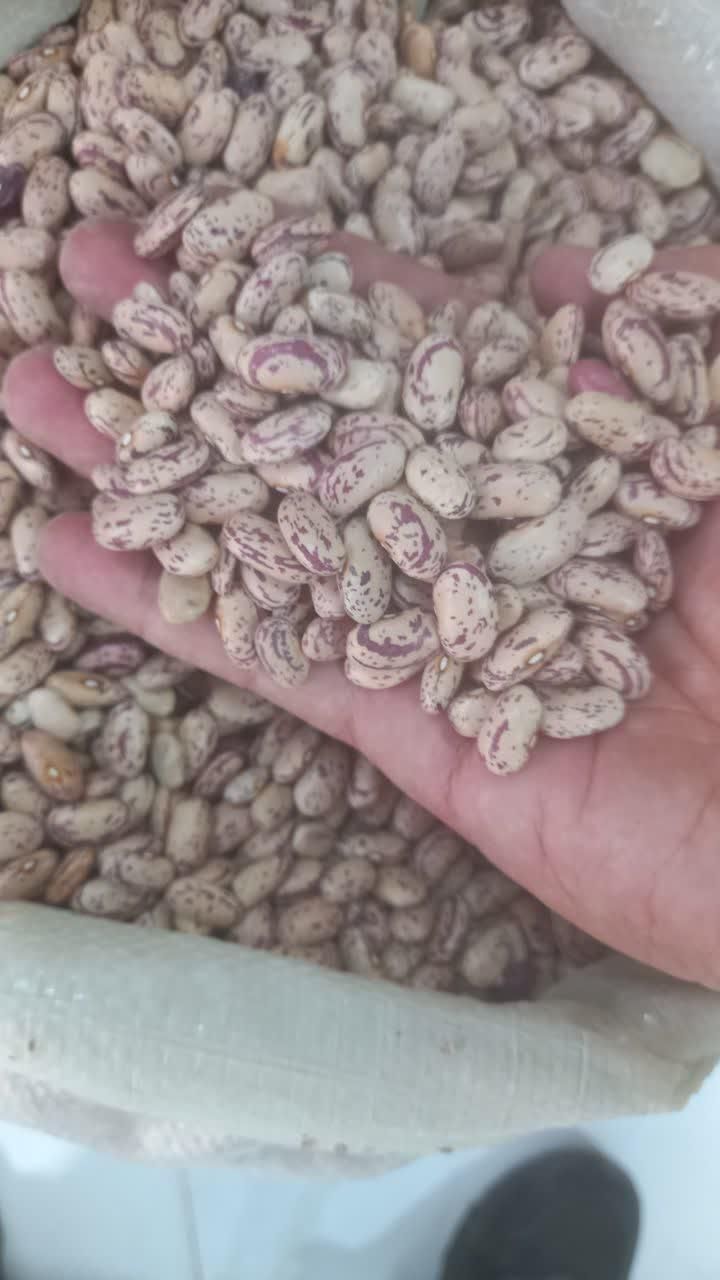حبوبات|خوردنی و آشامیدنی|اصفهان, راران|دیوار