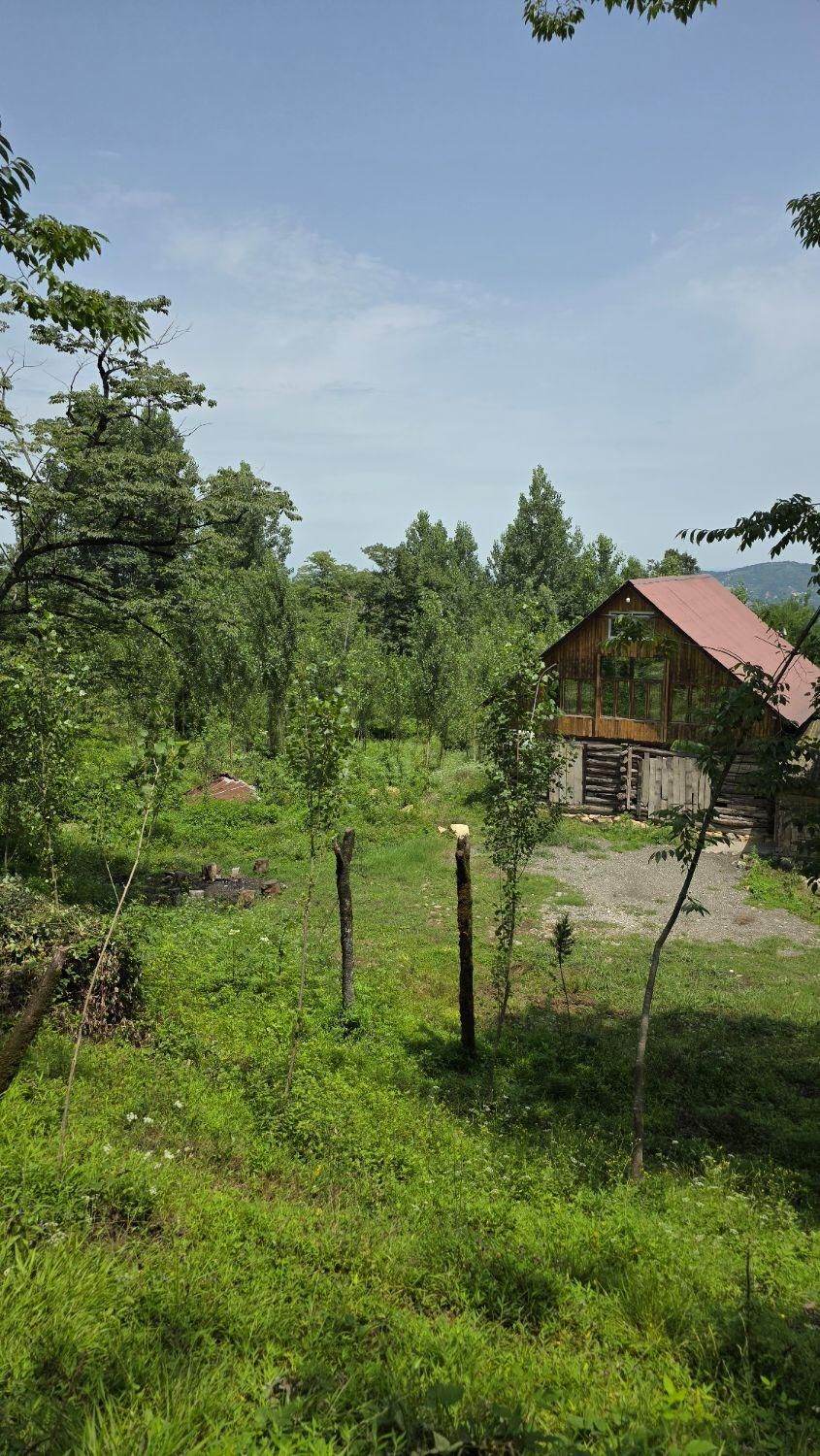 ۱۰۰متر سوئیسی باتراس بزرگ دردل جنگل لفور|اجارهٔ کوتاه‌مدت ویلا و باغ|مرزیکلا, |دیوار