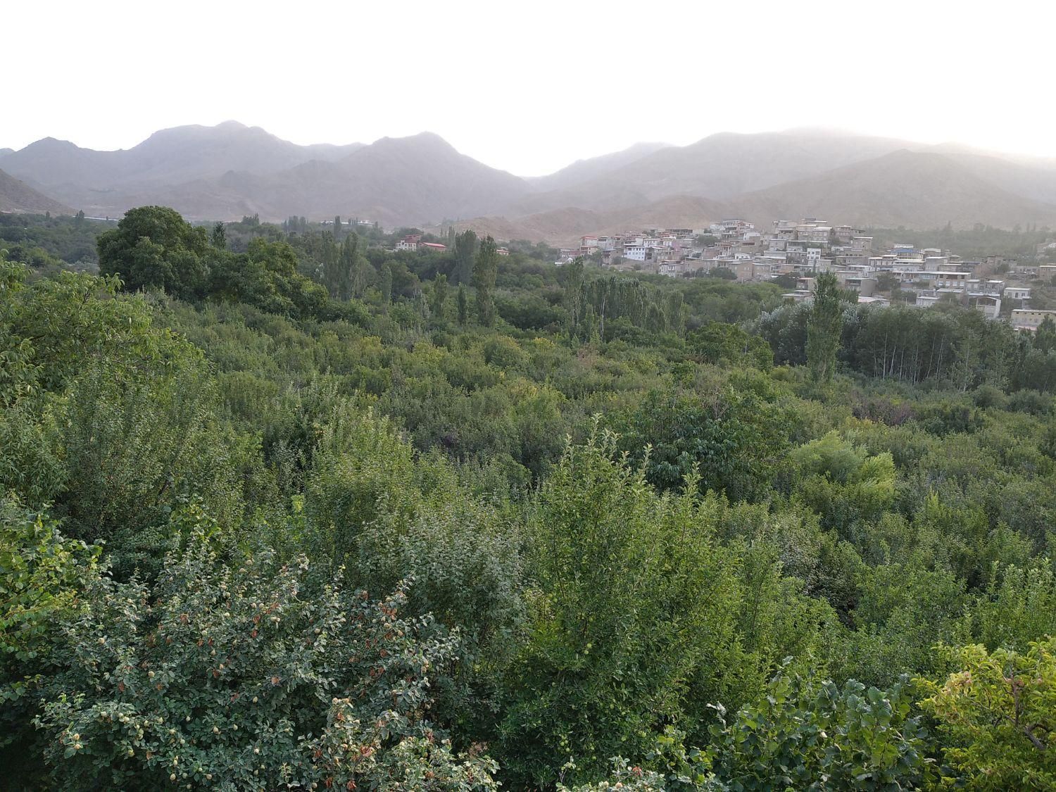 زمین ۲۵۰ متری فین بزرگ  یزدآباد بر جاده اصلی|فروش زمین و ملک کلنگی|کاشان, یزد‌آباد|دیوار