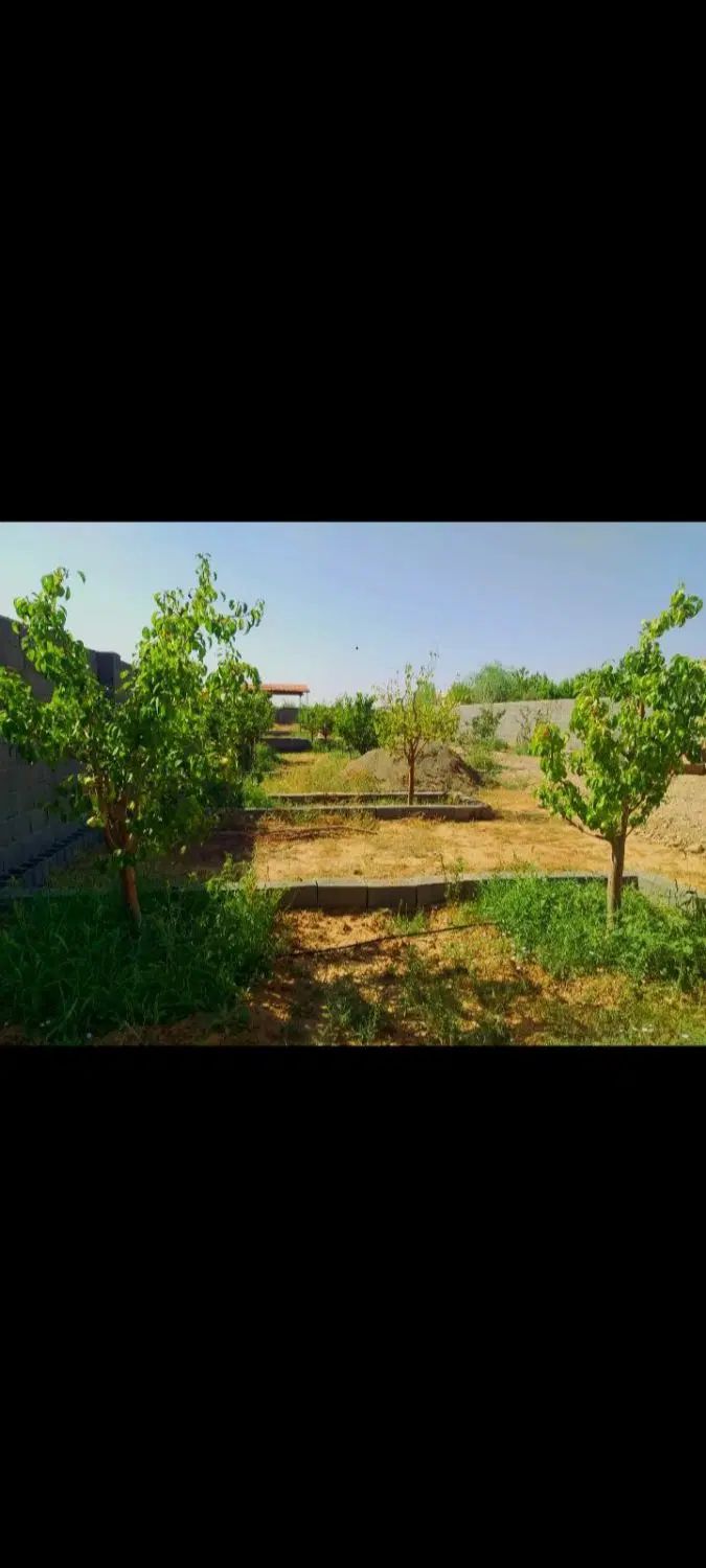 باغ ۹۰۰متری در منطقه خوش آب و هوای گوارشک|فروش زمین و ملک کلنگی|مشهد, درزآب|دیوار